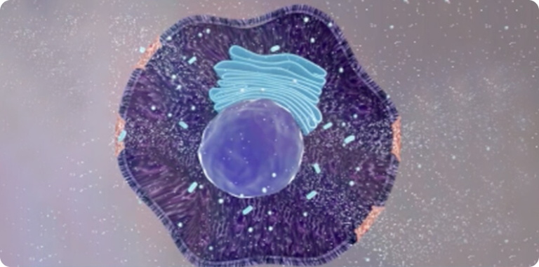 新物理消融死亡途径