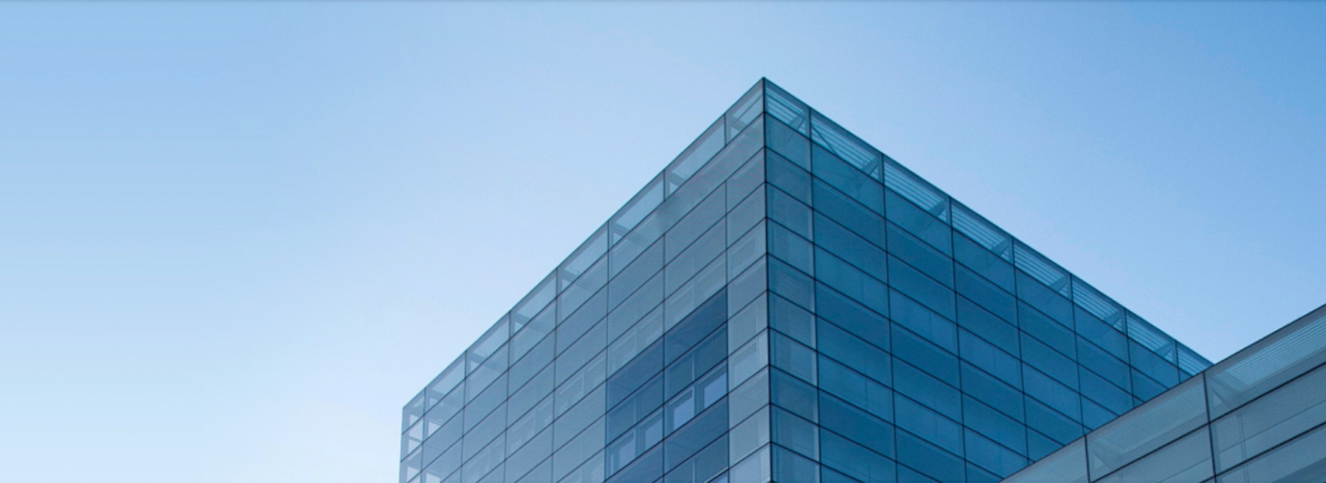 不可逆电穿孔理论与实践的开拓者